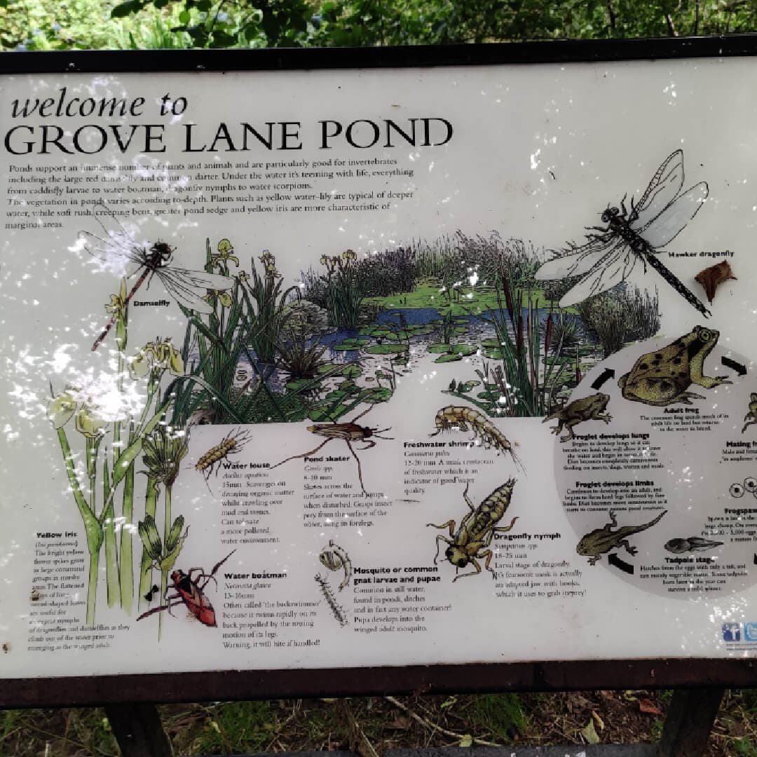 Grove Lane Pond Sign