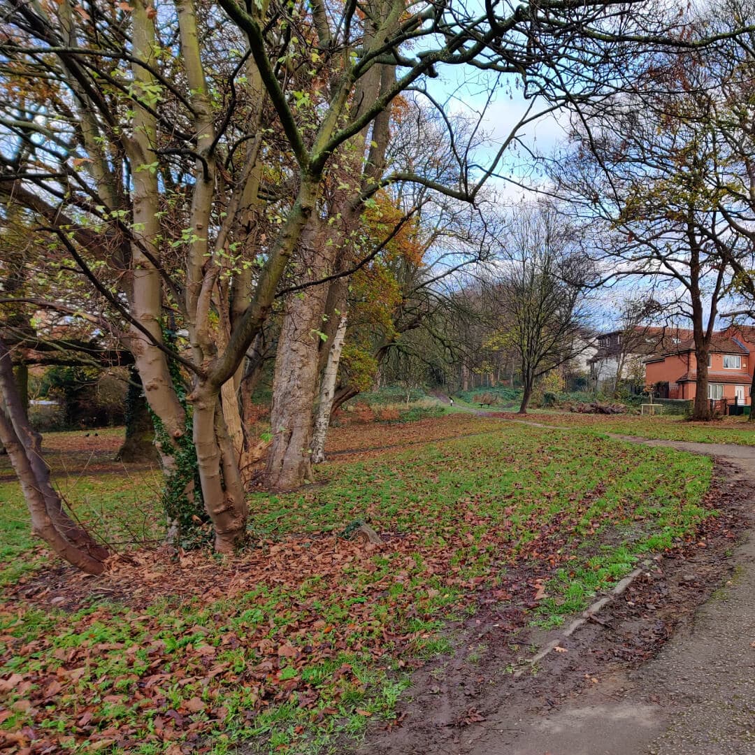 Entrance to Batcliffe Wood