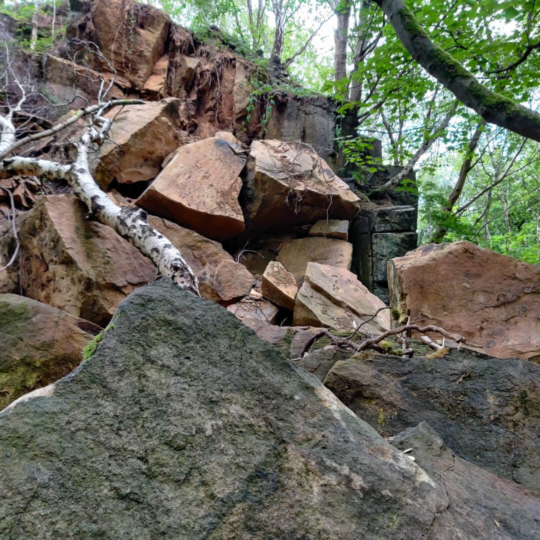 Calverley Wood Quarry