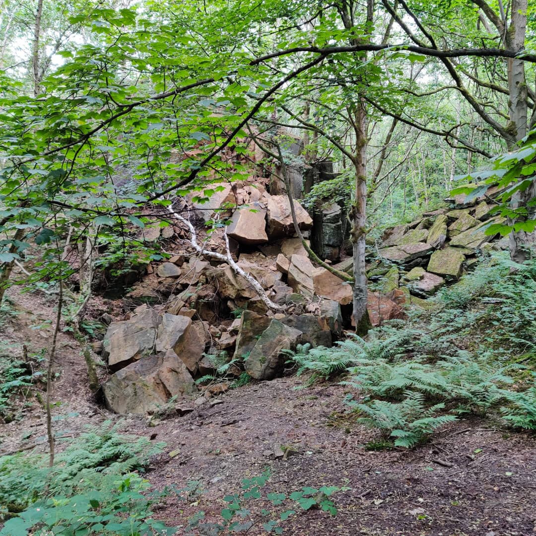 Calverley Wood path under Quarry