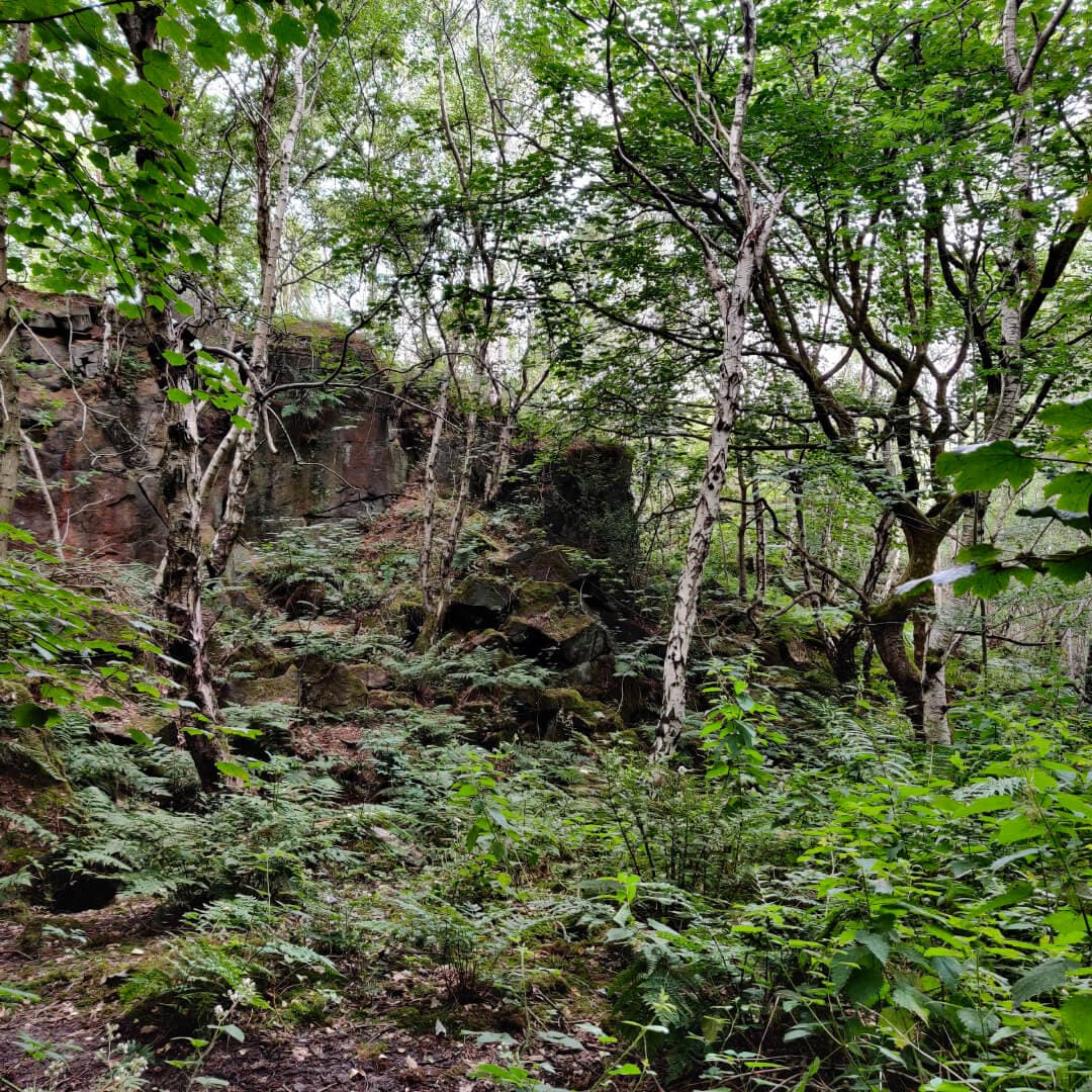 Calverley Wood Quarry