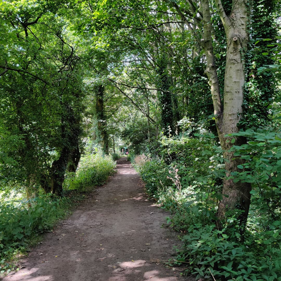 Calverley Wood path