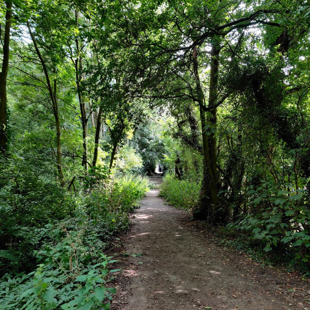 Calverley Wood path