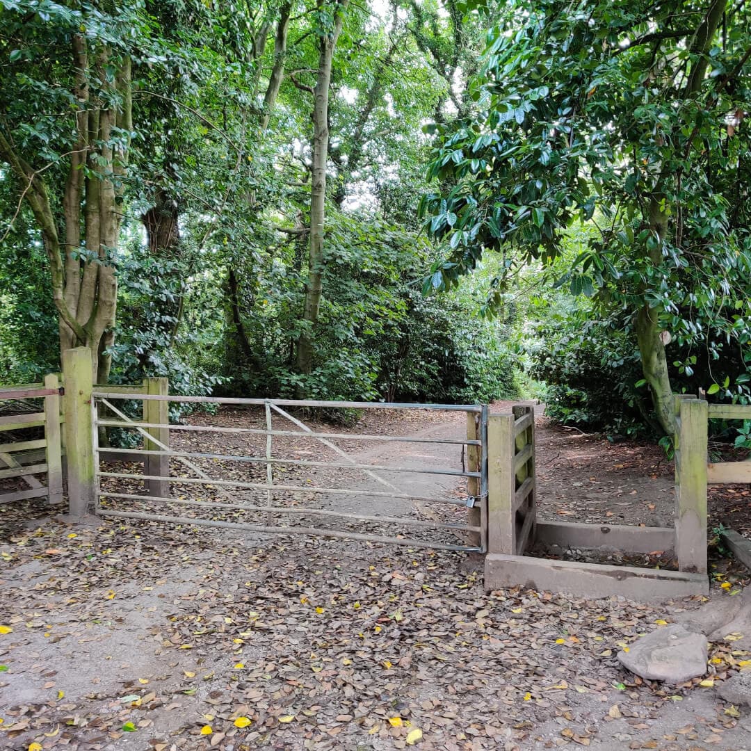 Calverley Wood entrance