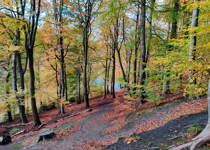 Gledhow Valley Woods path along the hill in Autumn