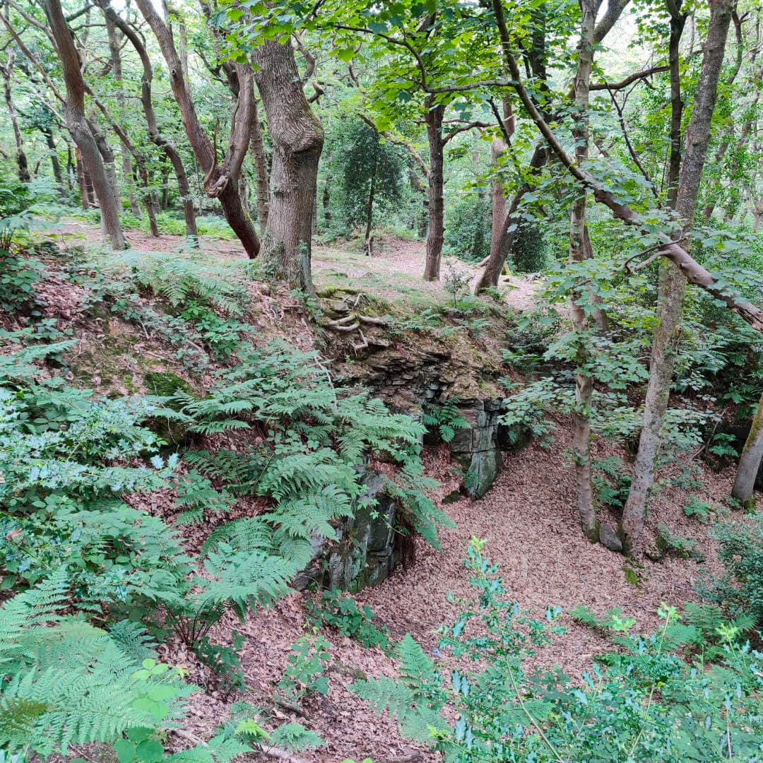 Calverley Wood path