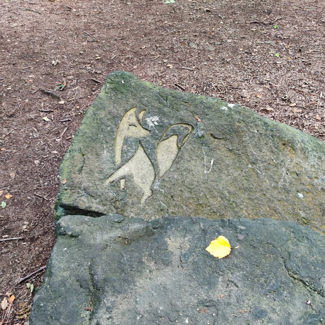 Calverley Fox engraving on rock in Calverley Wood