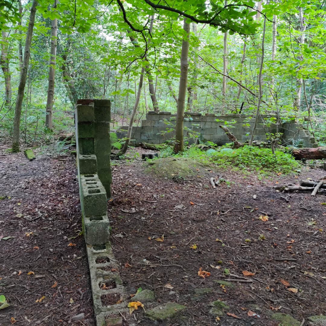 Calverley Wood ruins