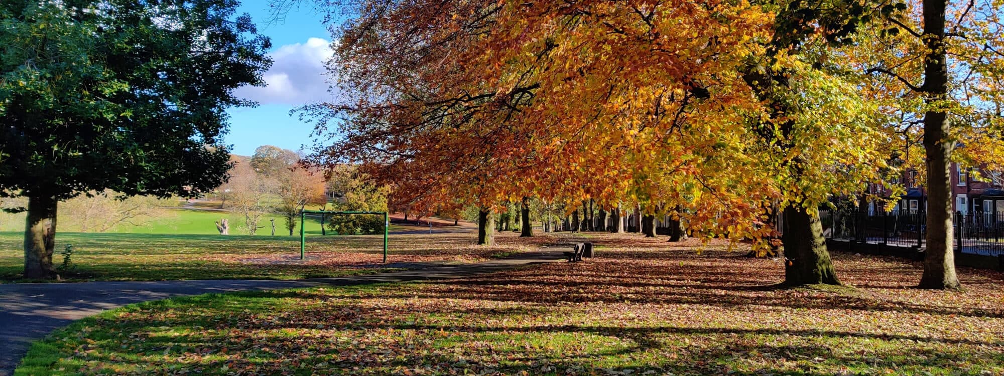 Potternewton Park view across the park