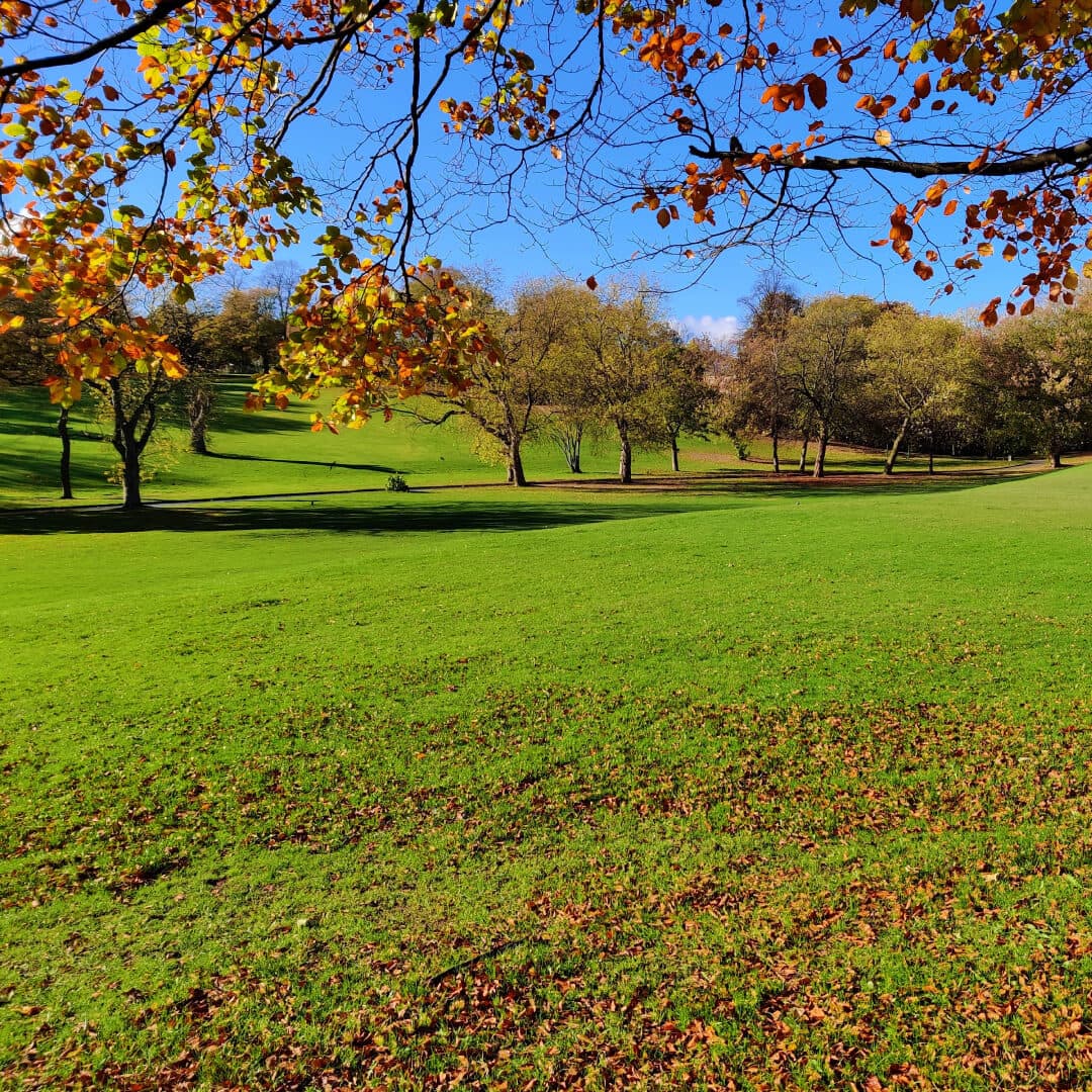 View across Potternewton Park in Autumn