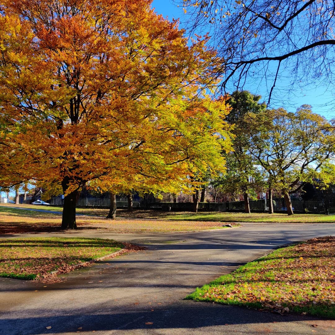 Path under trees Potternewton Park in Autumn