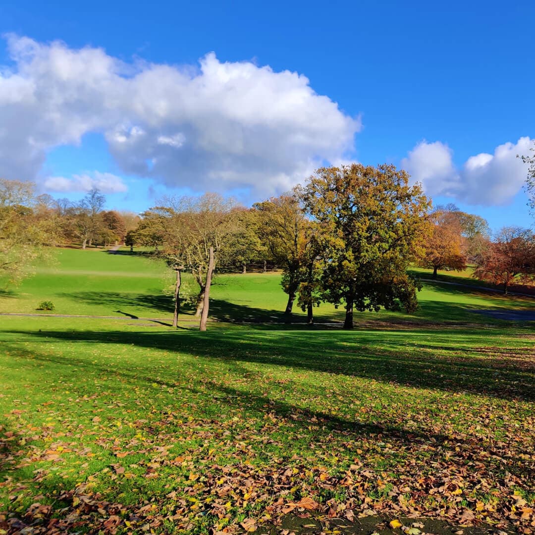 View across Potternewton Park in Autumn