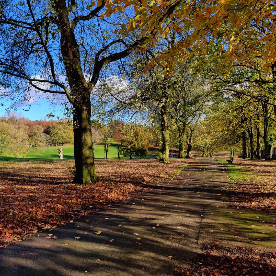 Path under trees Potternewton Park in Autumn