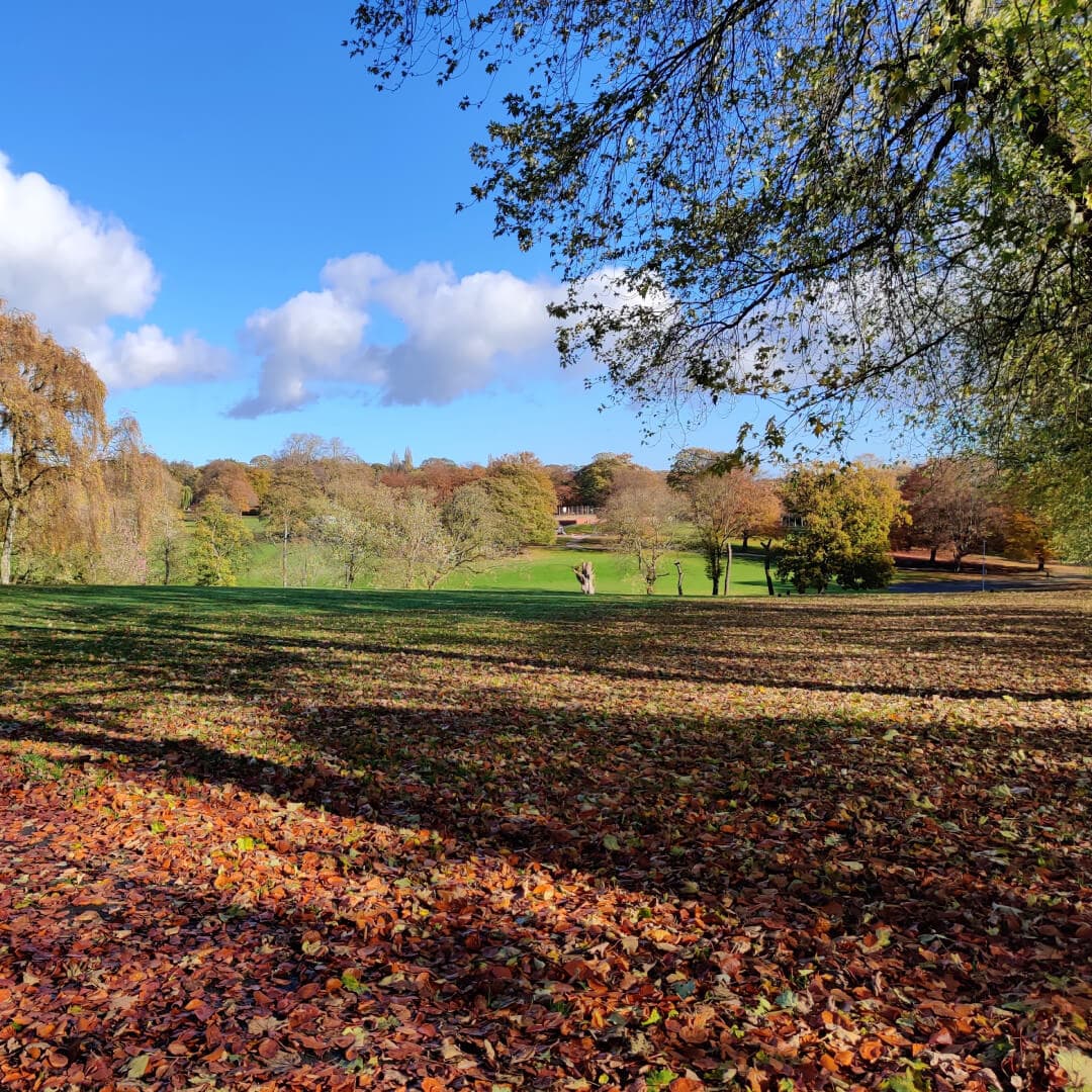 View across Potternewton Park in Autumn