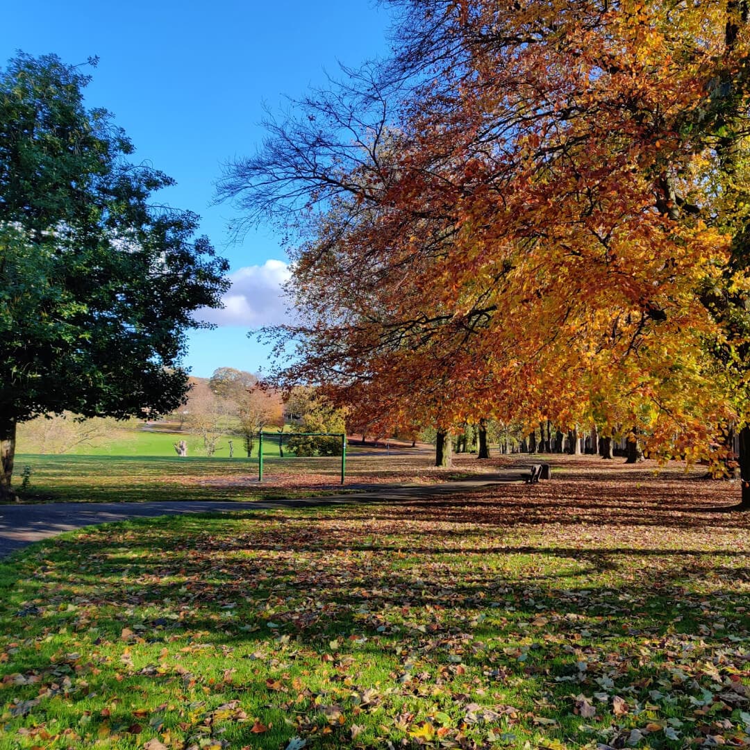 Potternewton Park in Autumn