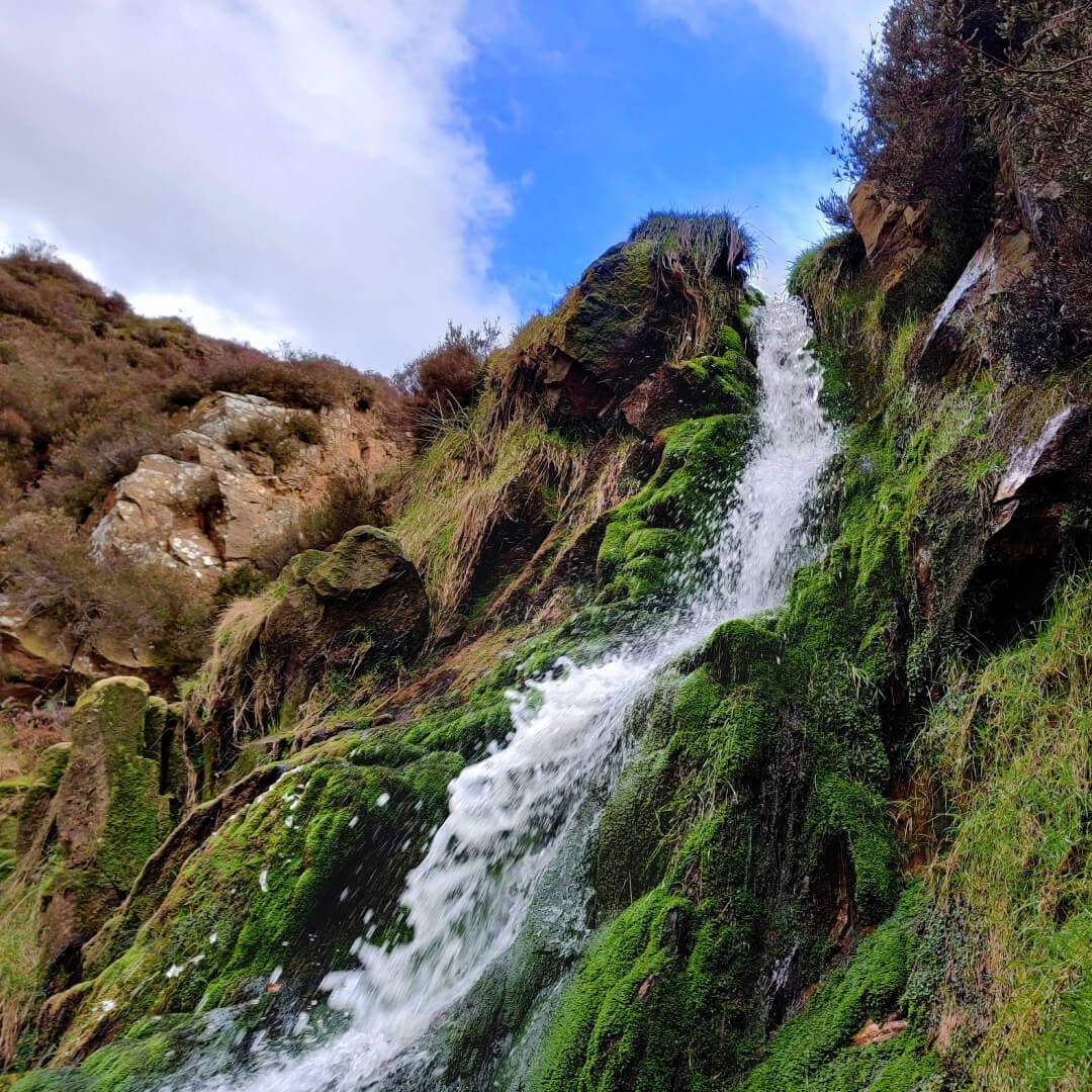 Ilkley Moor close up of waterfall and moss