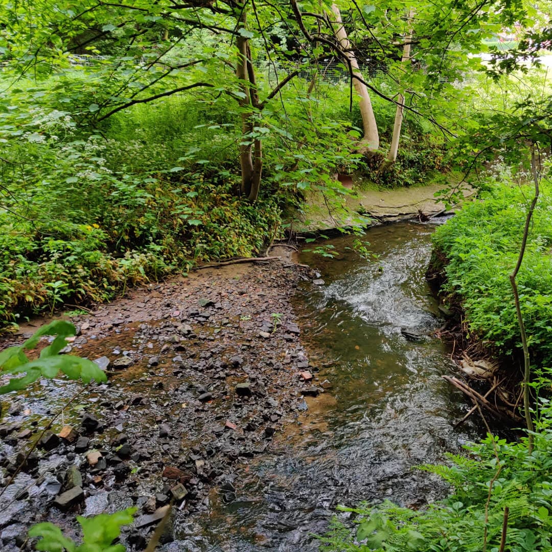 Woodhouse Ridge meanwood beck