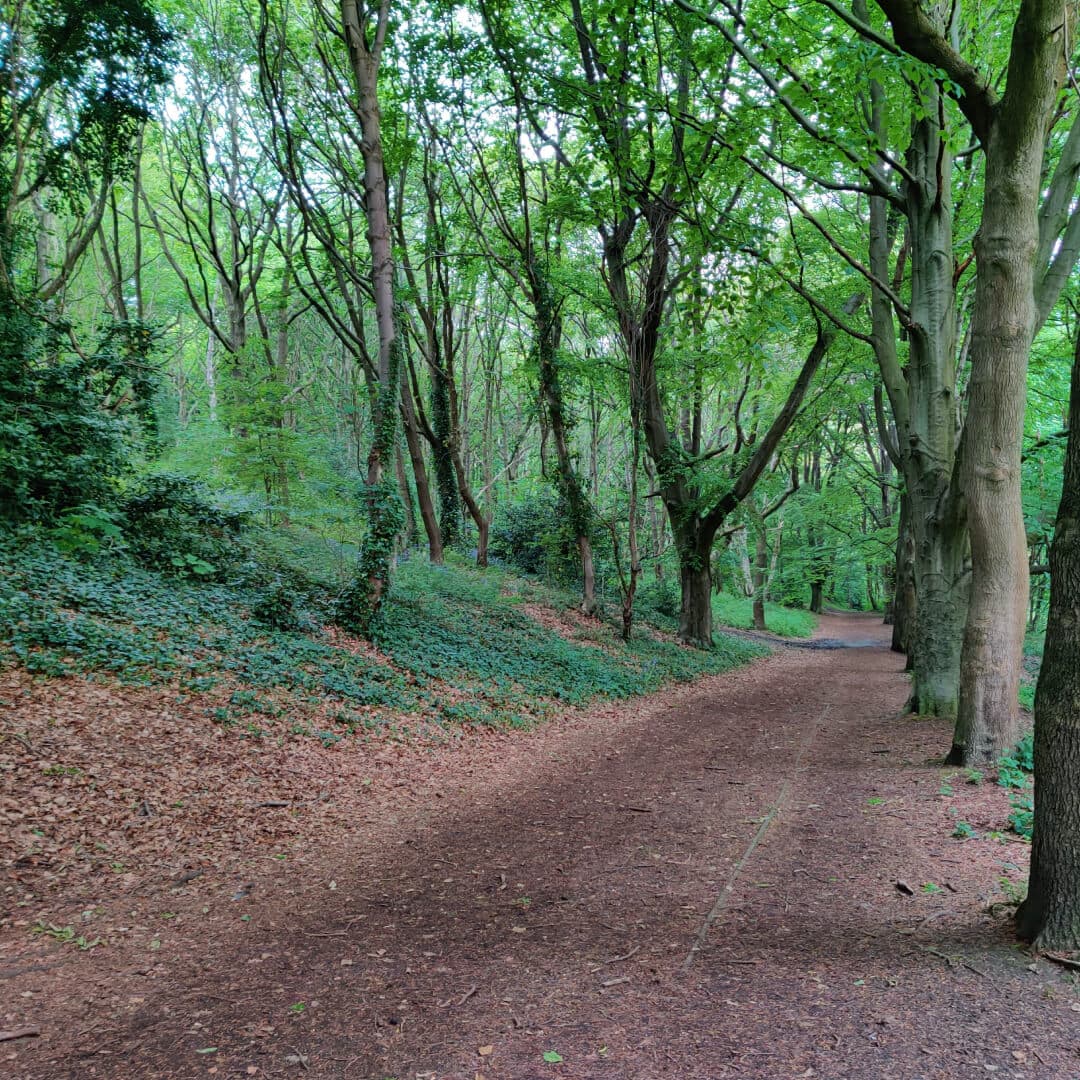 Woodhouse Ridge wide track