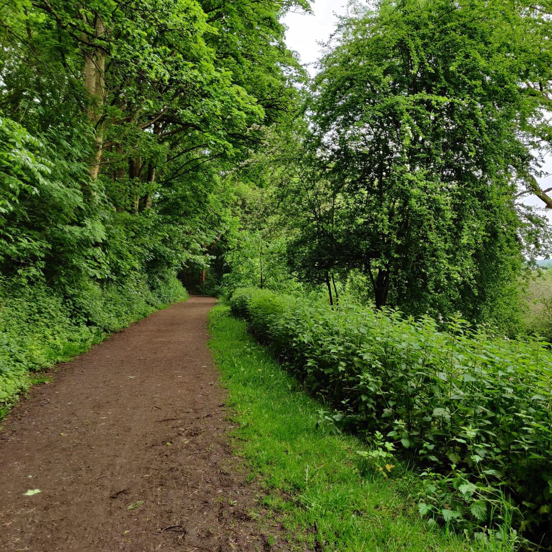 Woodhouse Ridge dirt path