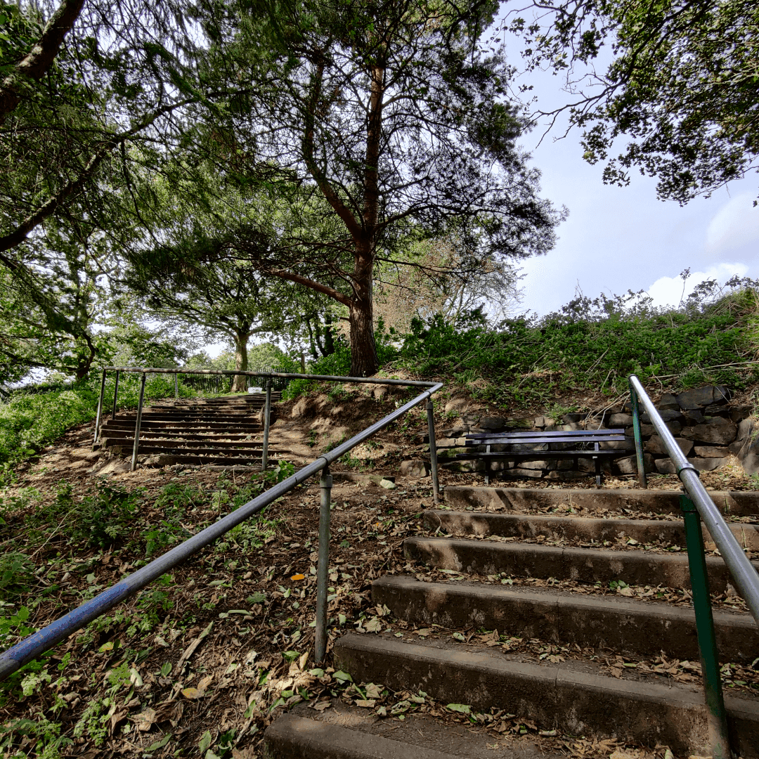 Western Flatts Cliff Park