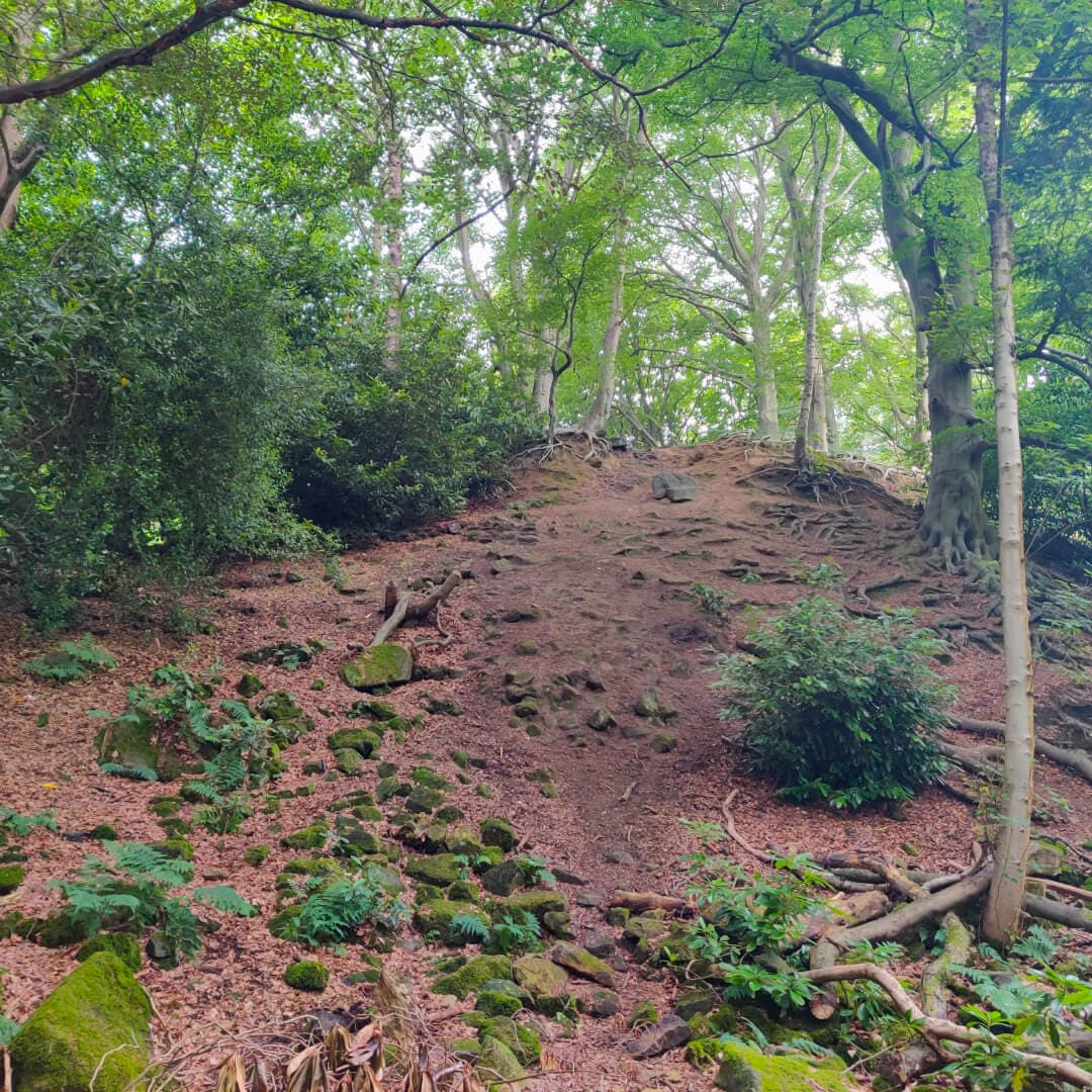 The Hollies Leeds steep hill