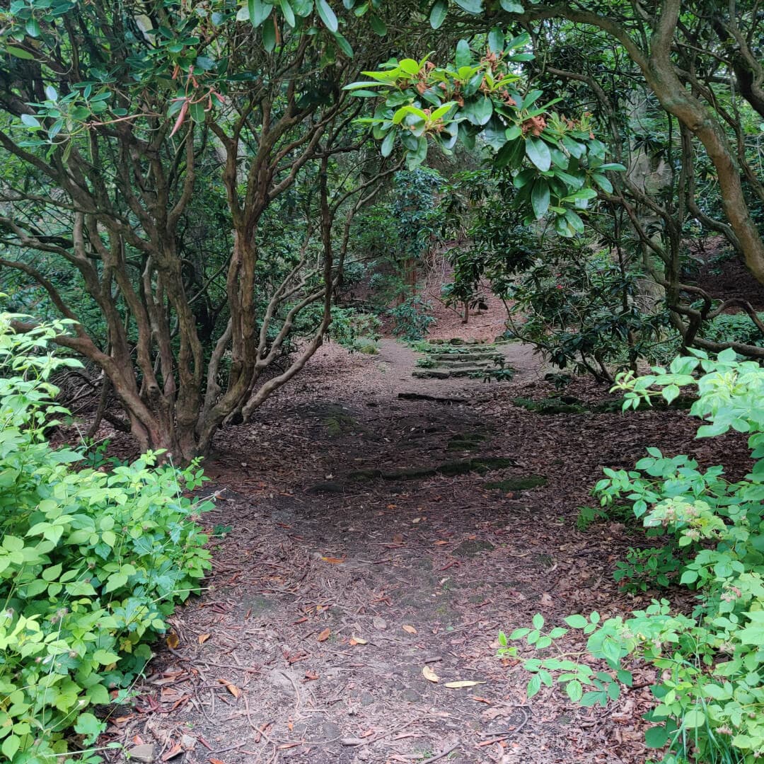 The Hollies Leeds main path