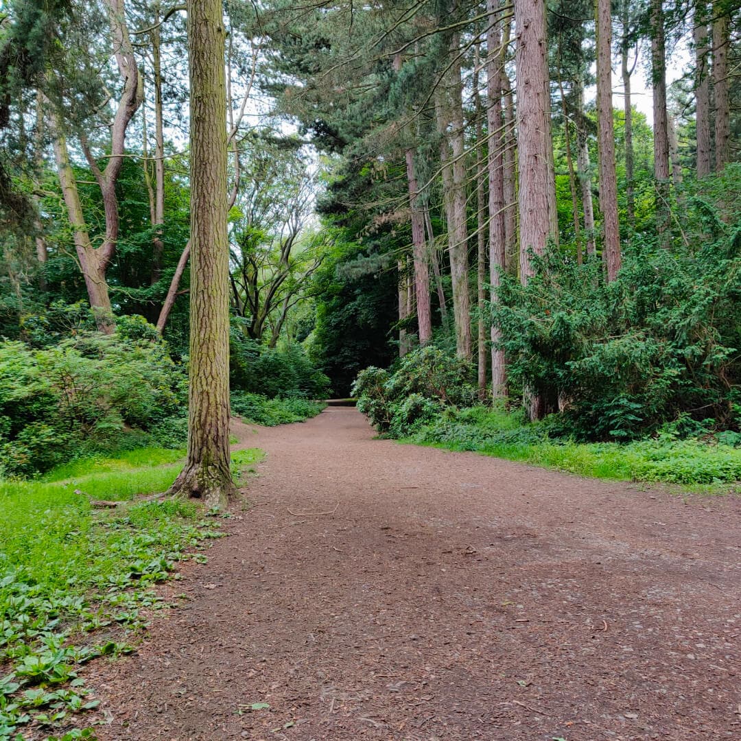The Hollies Leeds main path