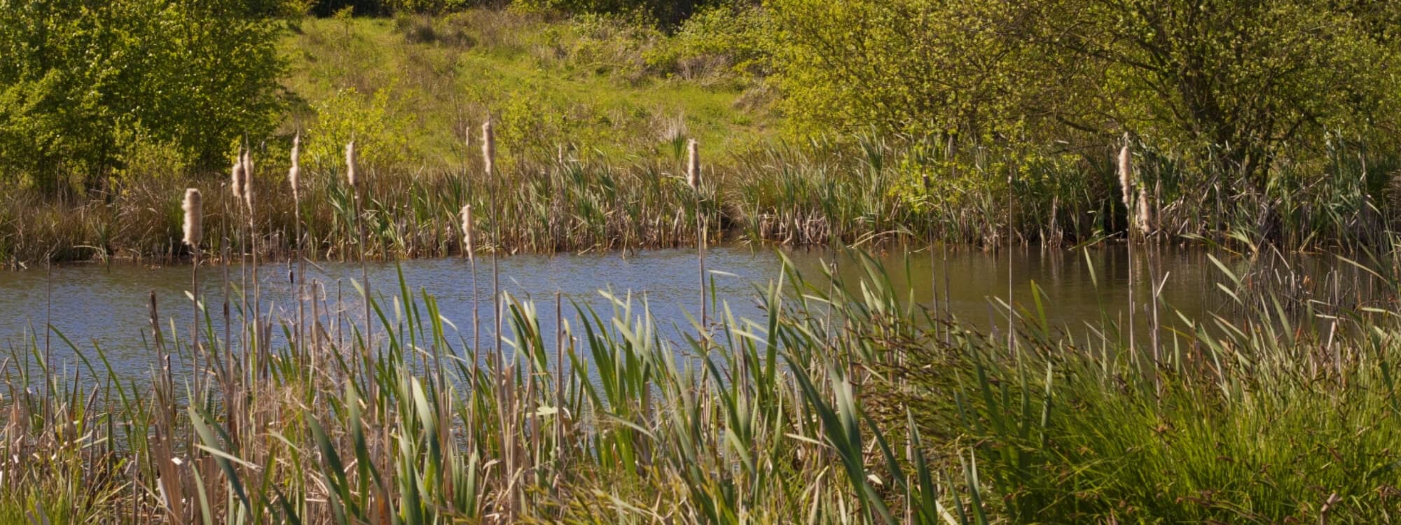 Rothwell Country Park