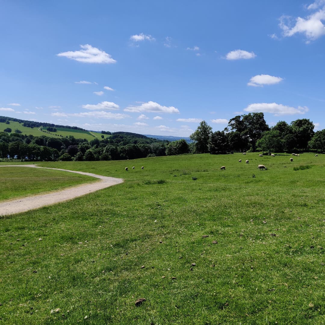 Field at Yorkshire Sculpture Park