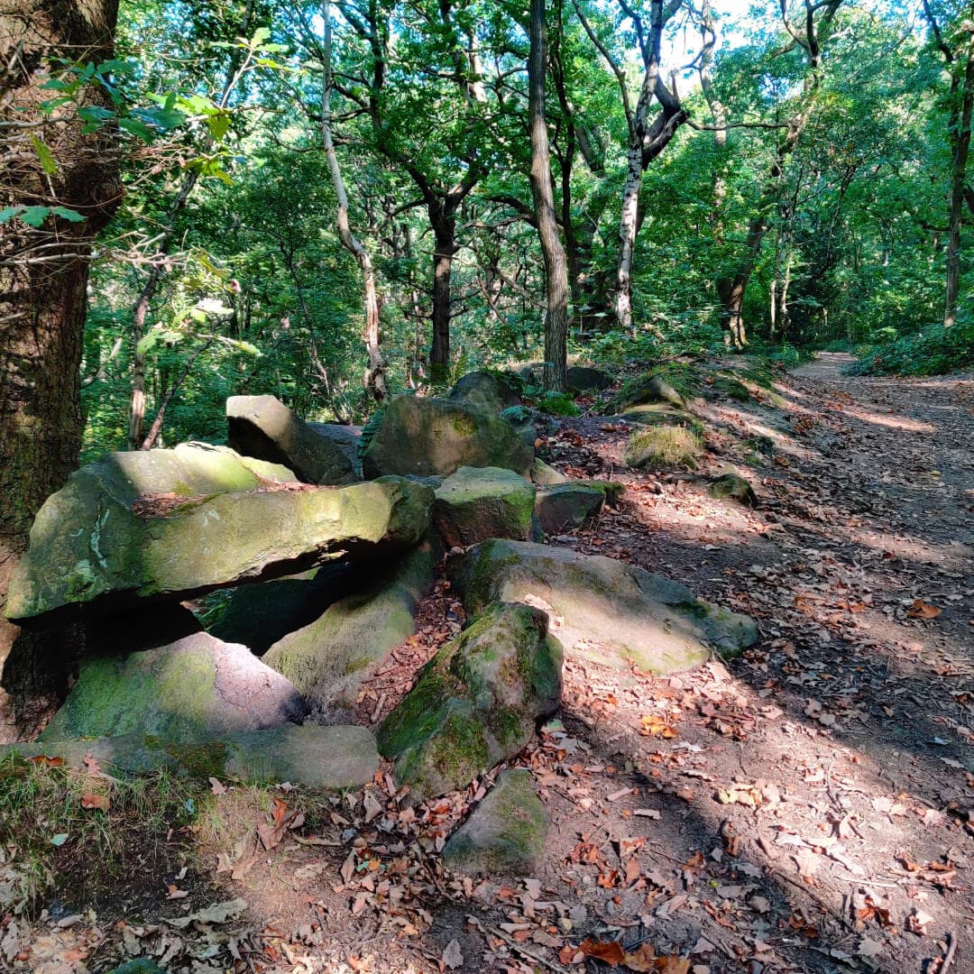 Hawksworth Wood path through woods
