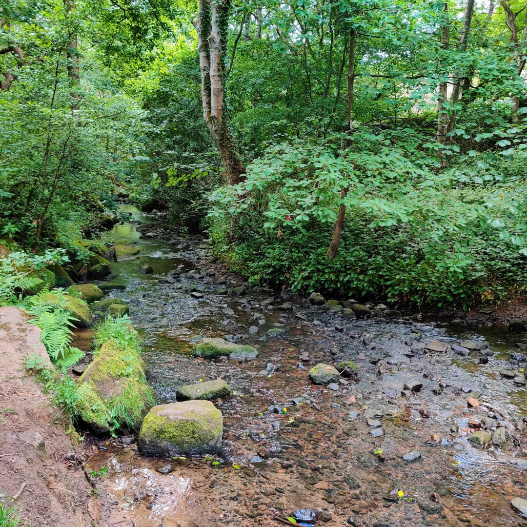 Hawksworth Wood Oil Beck