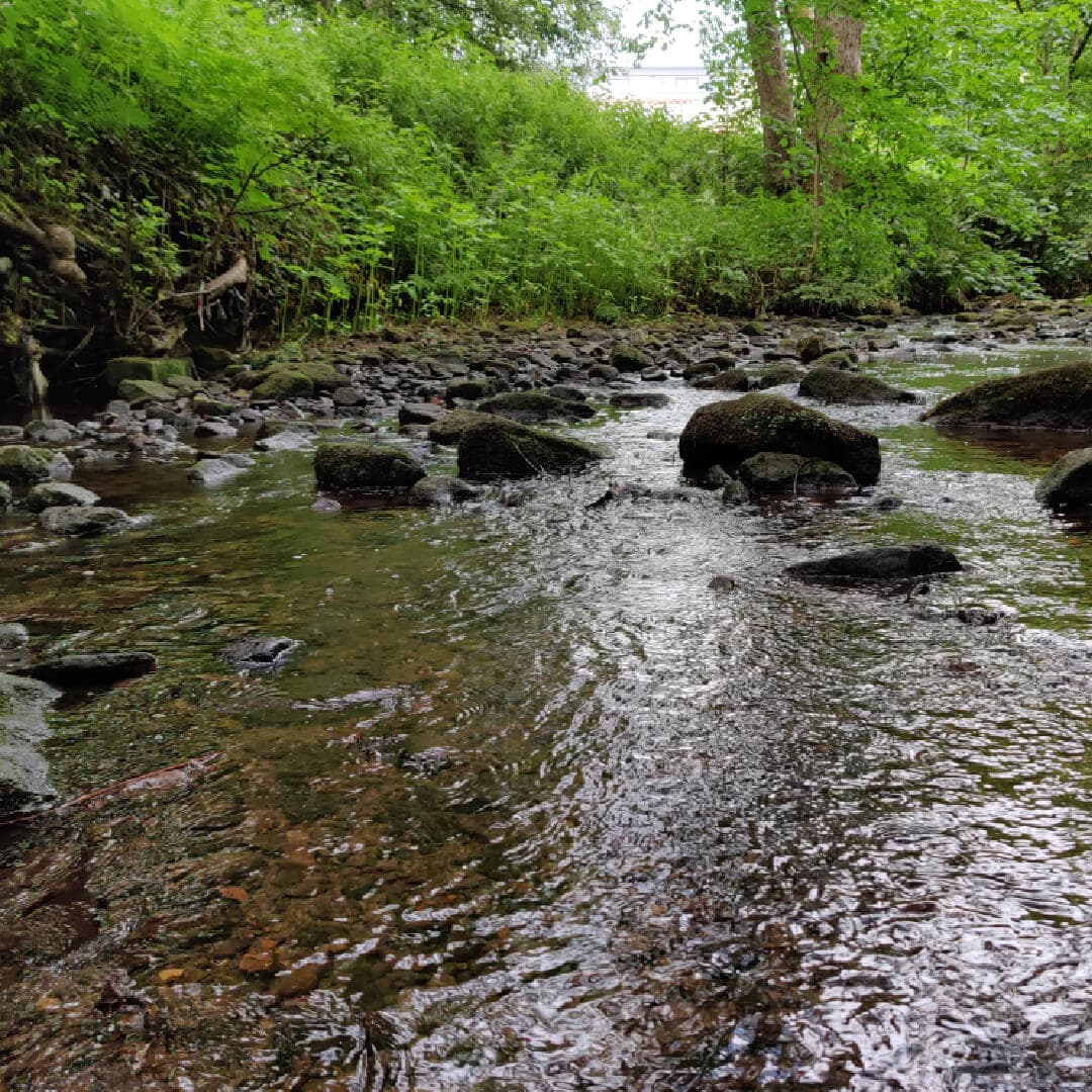 Hawksworth Wood Oil Beck