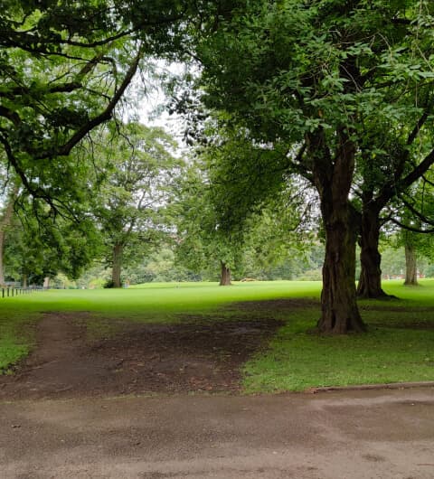 Chapel Allerton Park