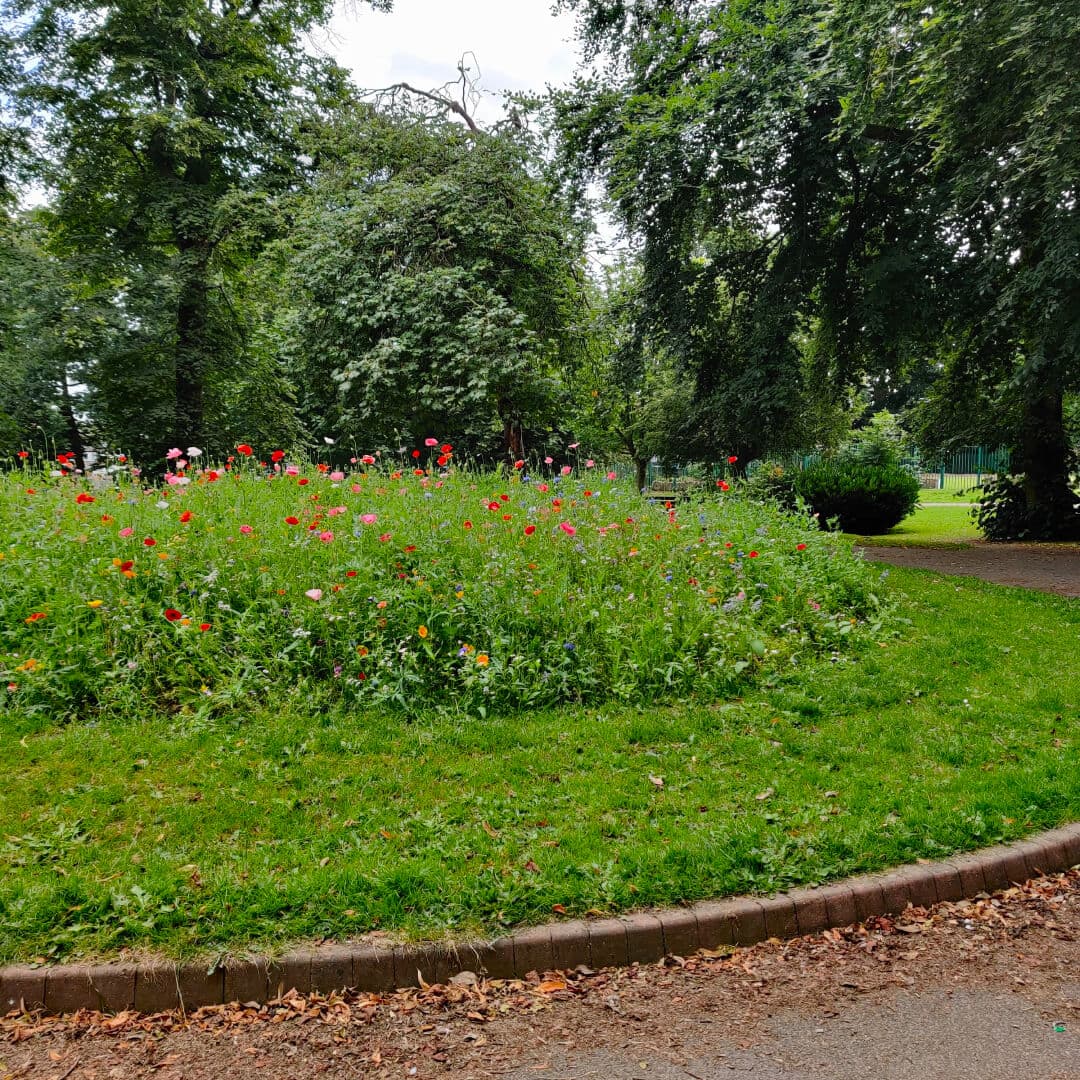 Westroyd Park flowers