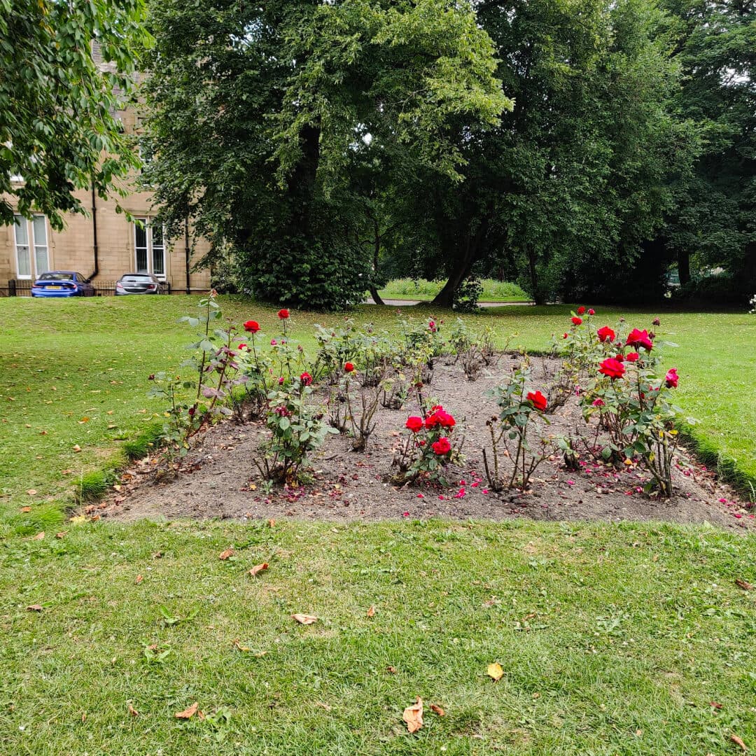 Westroyd Park flowers