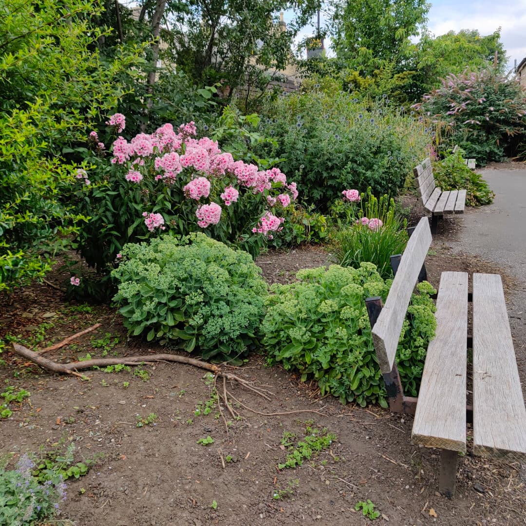 Westroyd Park flowers
