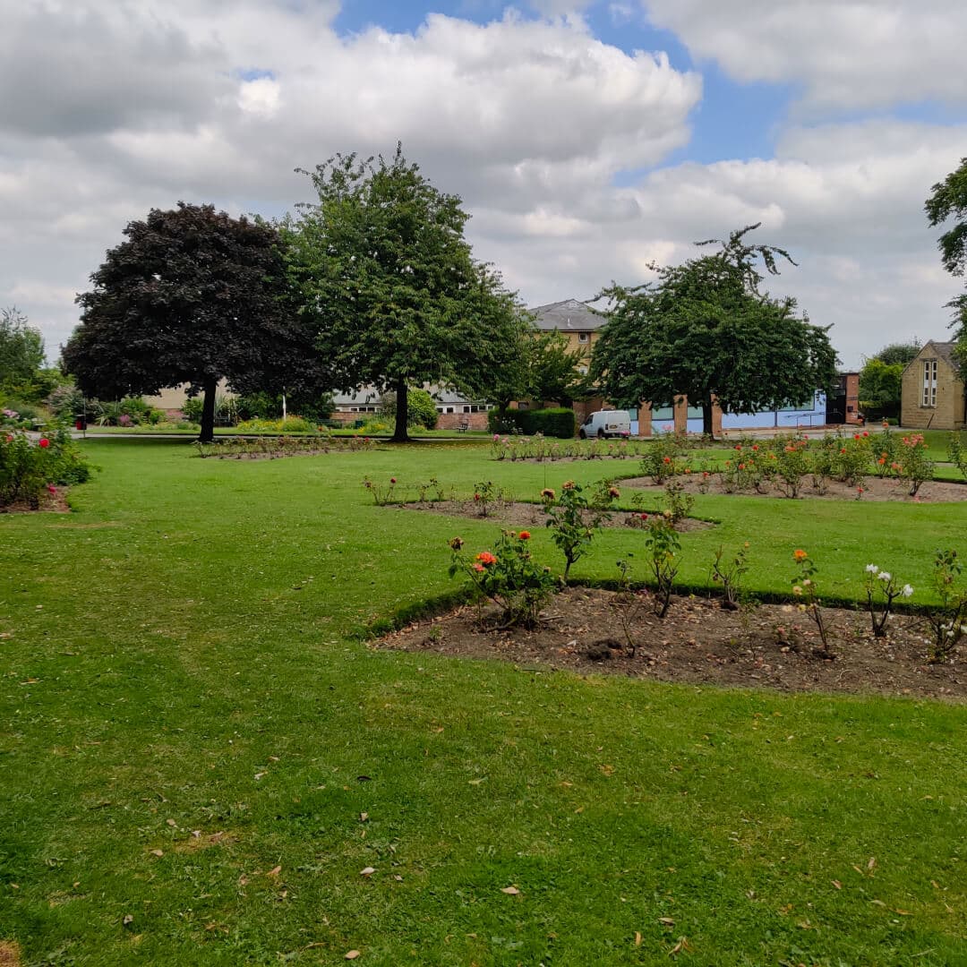 Westroyd Park flowers