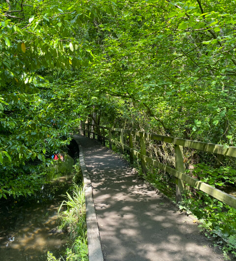 Meanwood Valley Local Nature Reserve