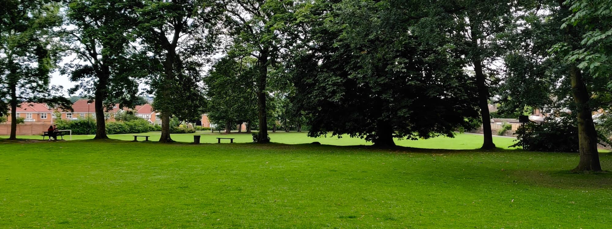Westroyd Park field and trees