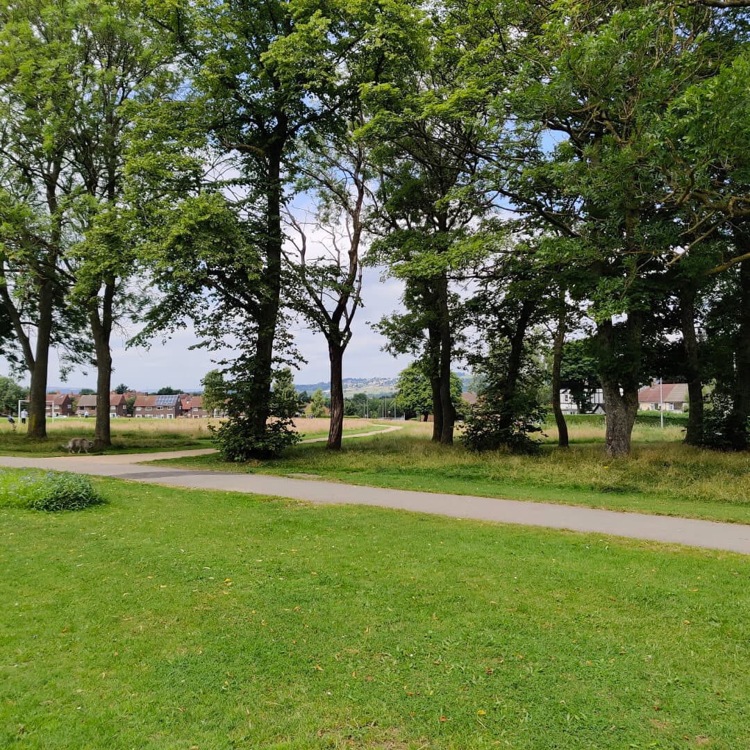 Stanningley Park trees
