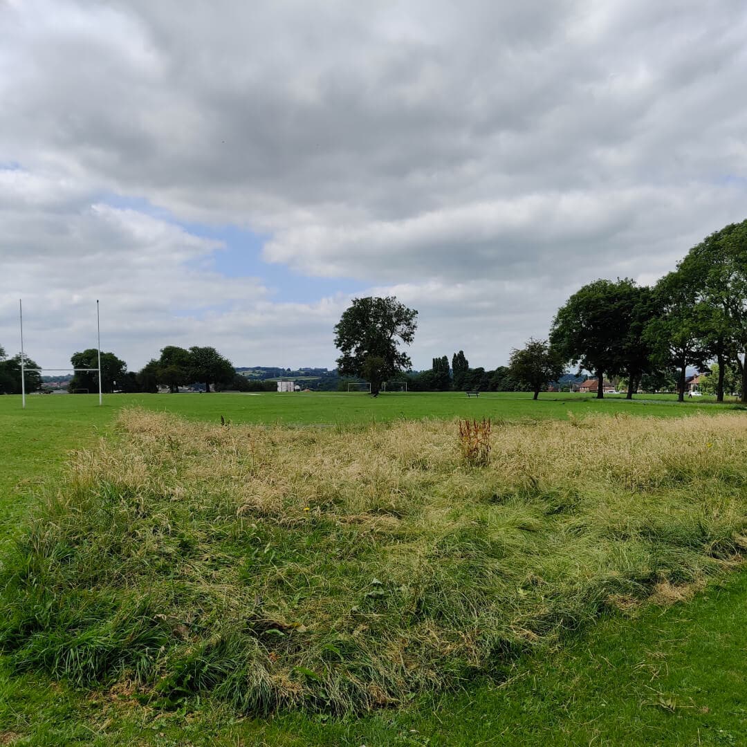 Stanningley Park field