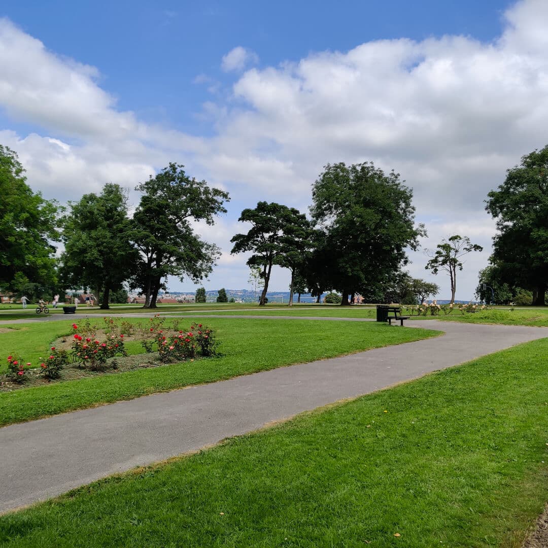 Stanningley Park flowers