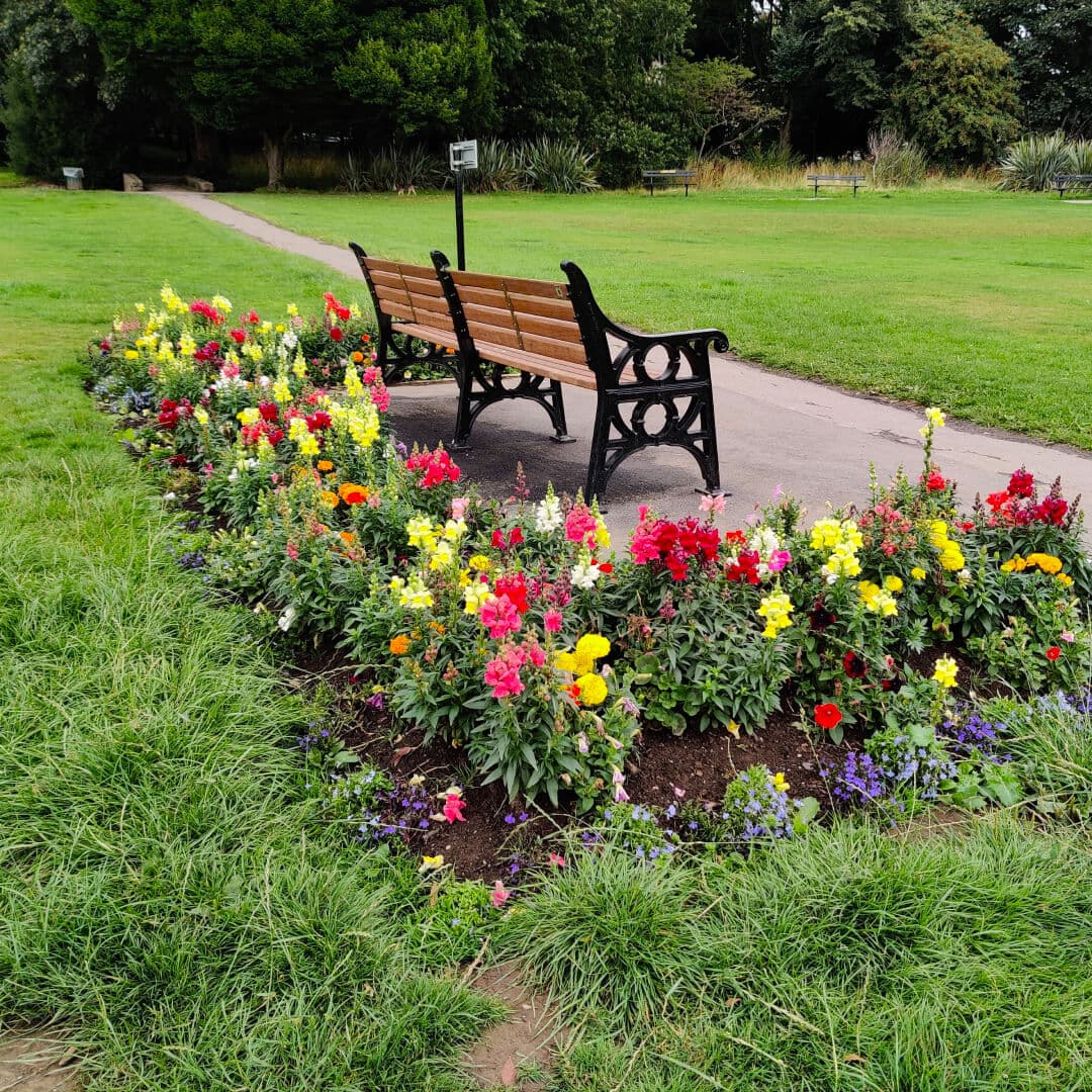 Horsforth Hall Park bench and flowers