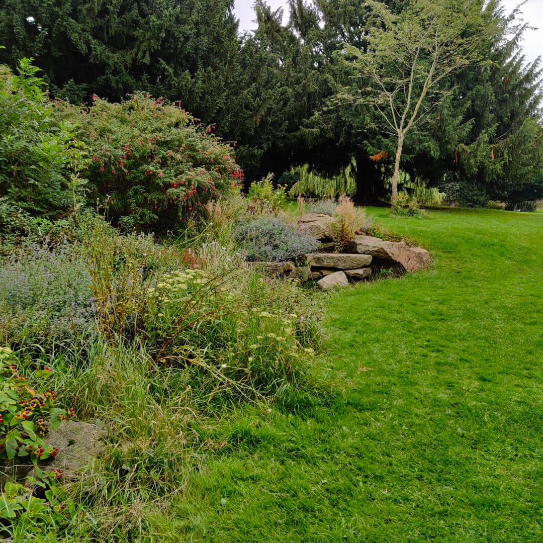 Horsforth Hall Park flowers