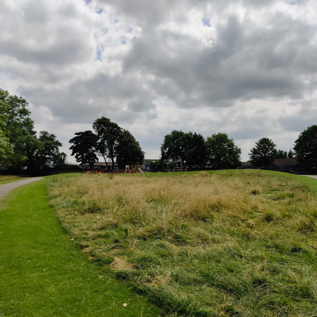 Stanningley Park grass