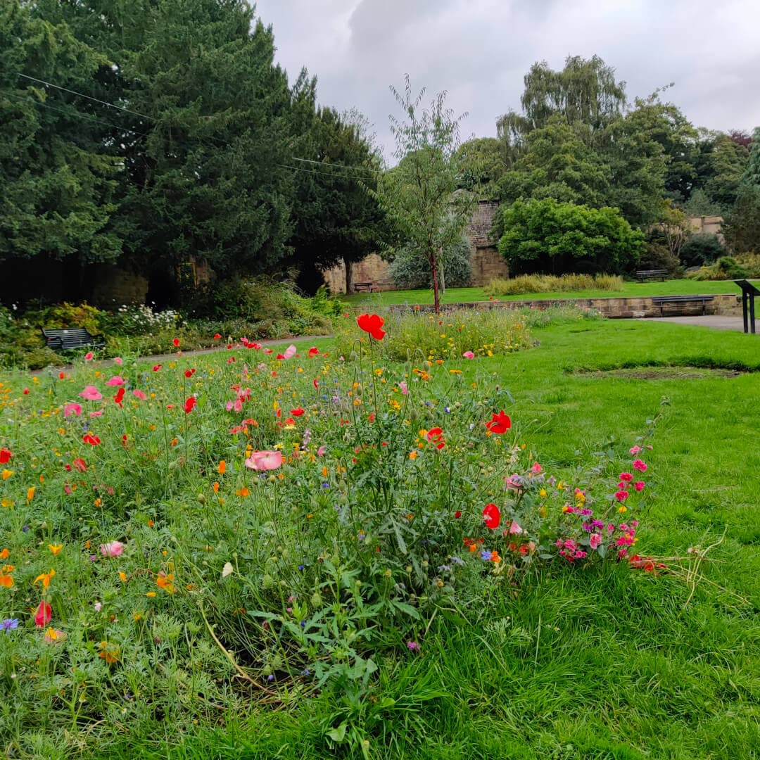 Horsforth Hall Park flowers