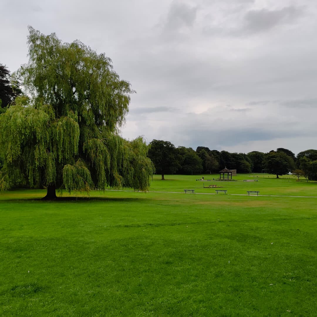 Horsforth Hall Park field