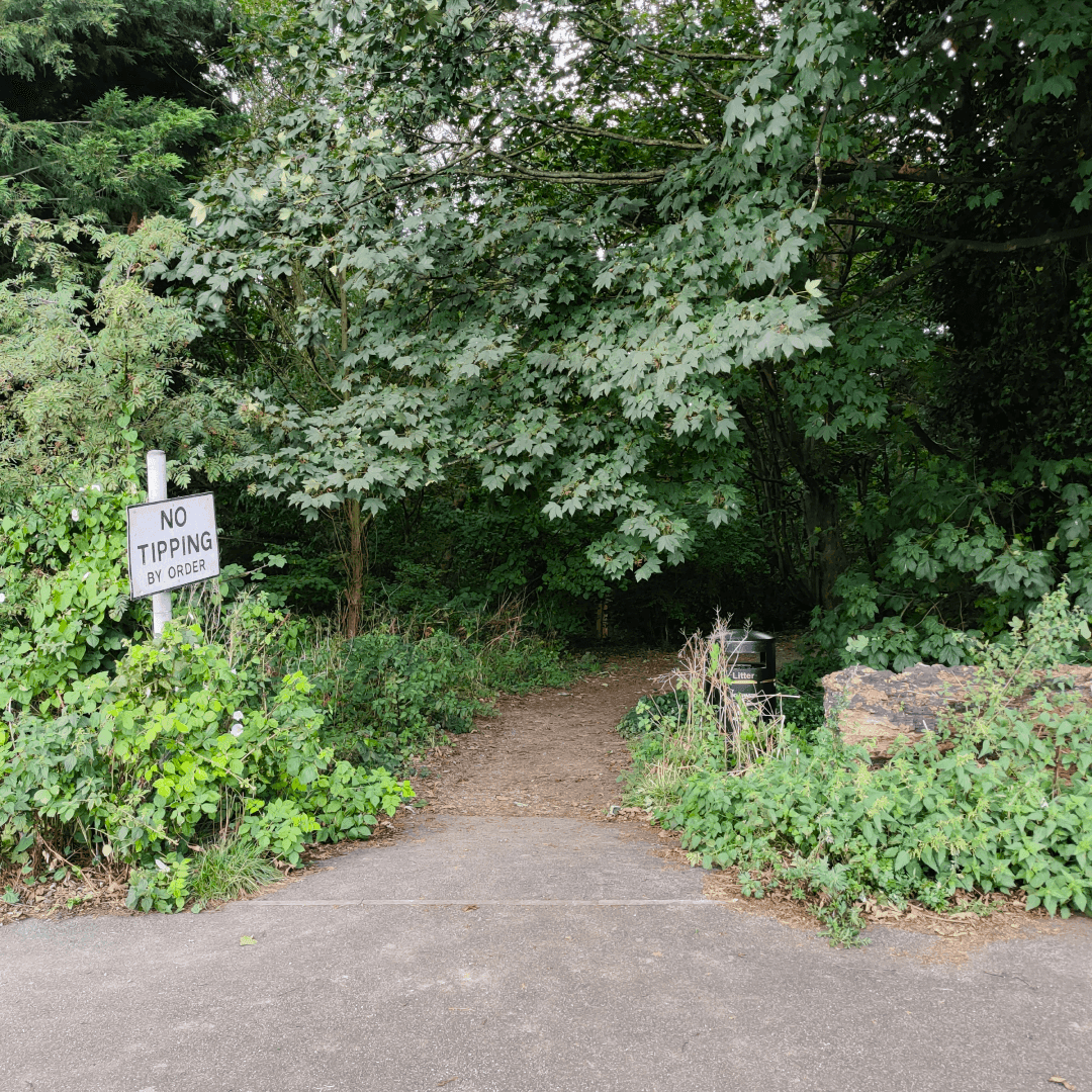 Gipton Wood