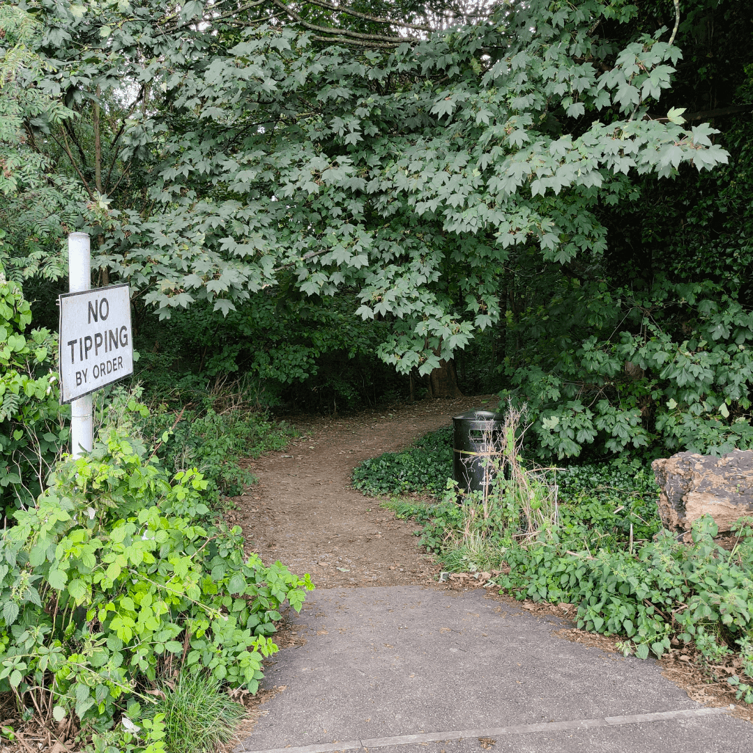 Gipton Wood