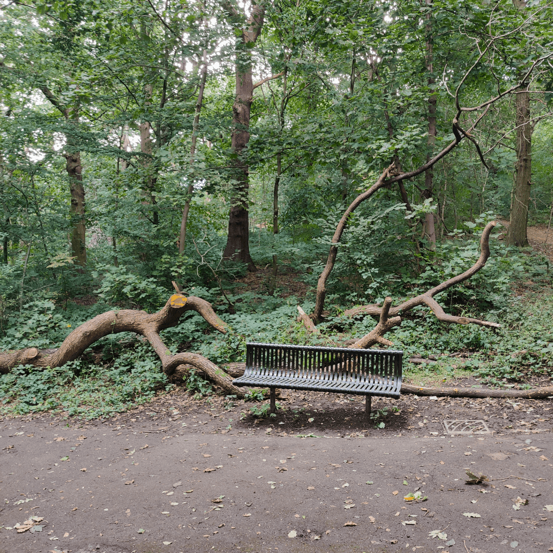 Gipton Wood